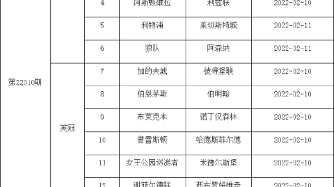 2025-26赛季英超2月12日(停赛评级